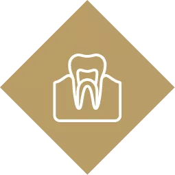 tooth-gum-icon
